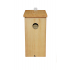 Birdhouse type PS2 - clear